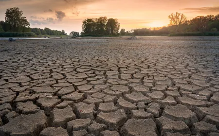 As Planet Warms, Droughts Likely Key Factor Driving People To Cities: Study