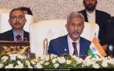 "SCO Can't Be Built On Unilateral Agendas": S Jaishankar Top 5 Quotes In Pak