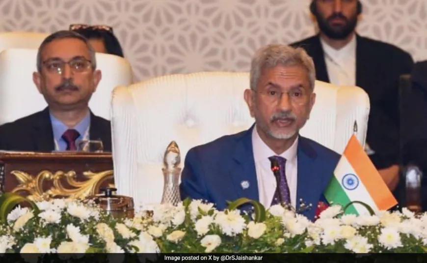 "SCO Can't Be Built On Unilateral Agendas": S Jaishankar Top 5 Quotes In Pak