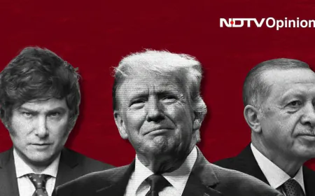Opinion: Milei, Trump, Erdogan: The Three Radicals Of 2024