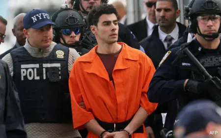 US CEO's Alleged Killer Luigi Mangione Faces Terrorism Charges