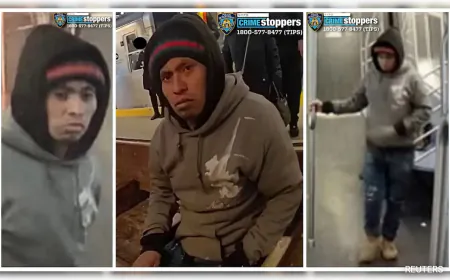 Amelia Carter: All Social Media Stories About New York Subway Horror Victim