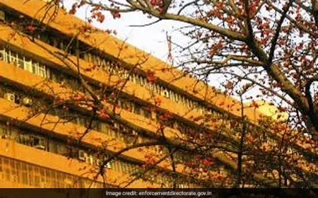 Probe Agency's Big Reveal: Canada College 'Admission' To Illegal US Crossing