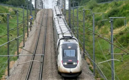 Massive Rail Delays In France After Train Driver Dies By Suicide On The Job