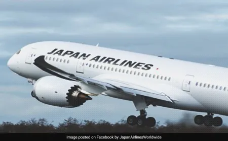 Japan Airlines Reports Cyberattack, "Apologises" For Inconvenience