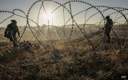 Several Injured North Korean Soldiers Died In Ukraine: Zelensky