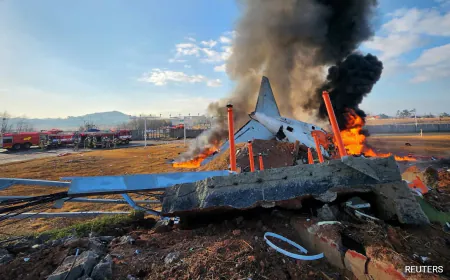 28 Killed After Plane With 181 On Board Crashes On South Korea Runway