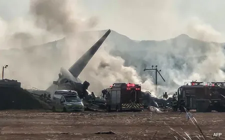 South Korea Plane Crash Updates: Bird Strike Likely Caused Deadly Accident
