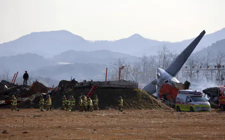 Bird Hit, Gear Glitch, Belly Landing: Chain Of Events In South Korea Crash