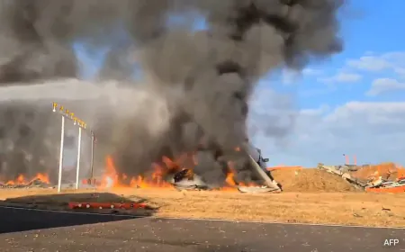 South Korea Plane Crash: 179 Feared Dead, 2 Survived. What We Know So Far