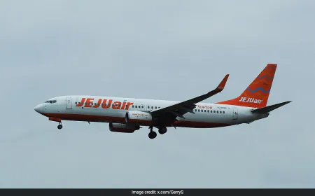 Another South Korean Plane Faces Landing Gear Issue Day After Deadly Crash