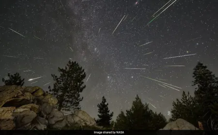 2025's First Meteor Shower 'Quandrantid' Will Be Visible In India: Details