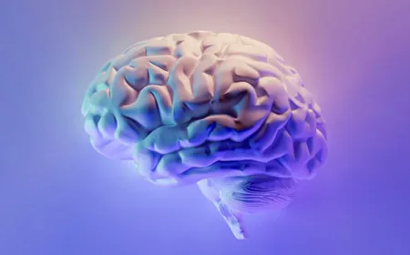 US Teens Brain Structure Study Links Early Substance Use Risk