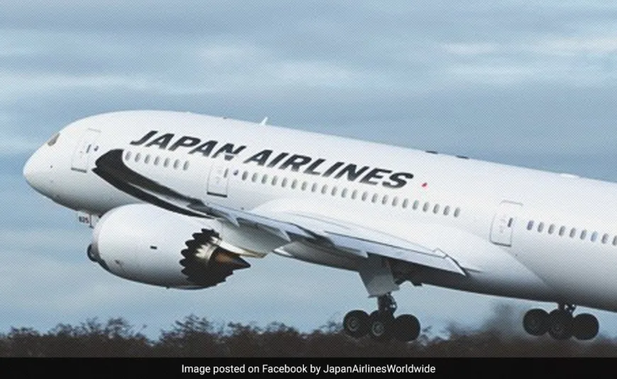 Japan Airlines Reports Cyberattack, "Apologises" For Inconvenience