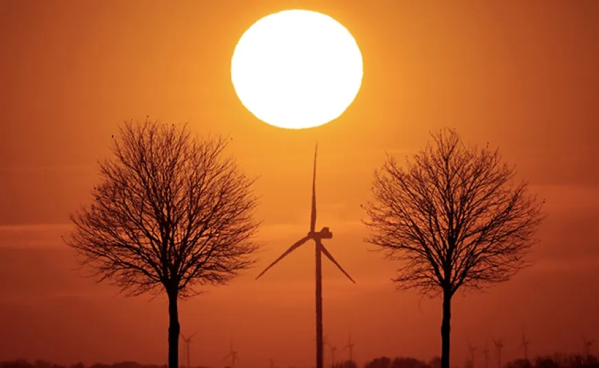 Climate Change Caused 41 Additional Days Of Extreme Heat This Year: Report