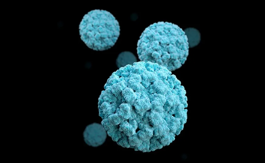 Norovirus Cases Double In US: All About The Contagious Infection