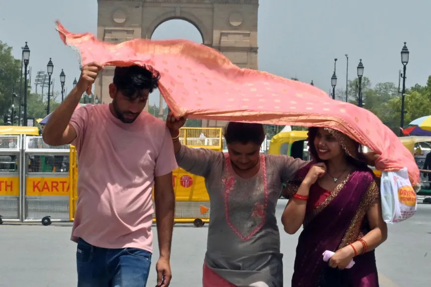 Climate Crisis Brought Extreme Weather, Heat In 2024: UN