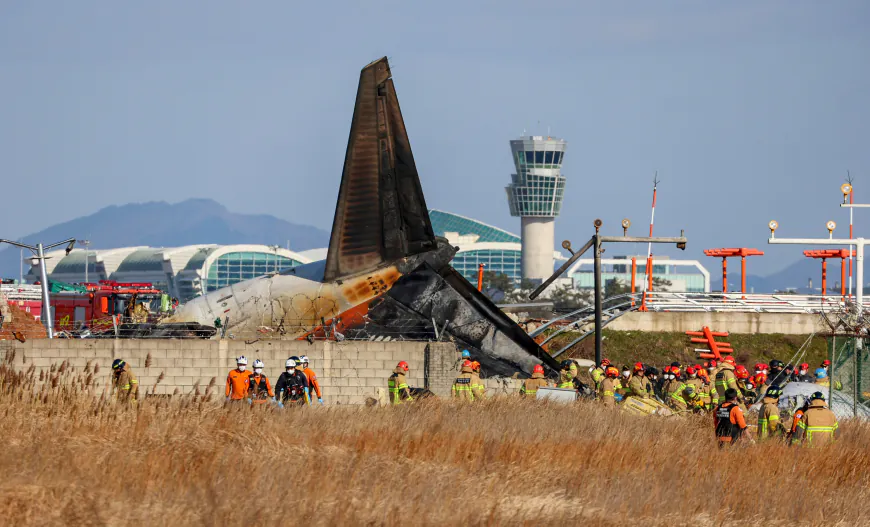 How 2 Crew Members In Deadly South Korea Plane Crash Survived