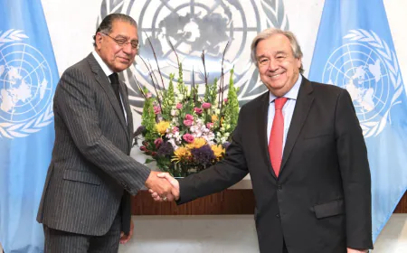 Pak Begins 2-Year Term At Top UN Body, To Oppose Reform Sought By India