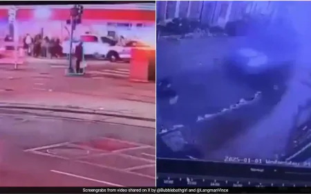 Videos Show How US Army Veteran Ran Through Crowd With Truck, Killing 15