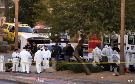 US Army Veteran Behind Tesla Truck Explosion Outside Trump Hotel: Report