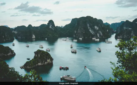 Vietnam's Birth Rate Hits Record Low In 2024 Despite Propaganda Push