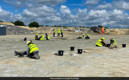 UK's Biggest Dinosaur Footprint Site Unearthed Dating Back 166 Million Years
