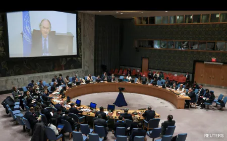 UN Security Council's 5 New Non-Permanent Members Take Office