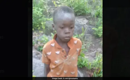 Boy, 8, Rescued After 5-Day Survival In Lion-Inhabited Zimbabwe Game Park