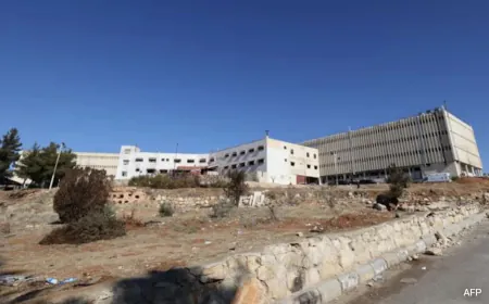 Salt Chambers, Crematoriums, Makeshift Morgues: Horrors Of Assad's Prison