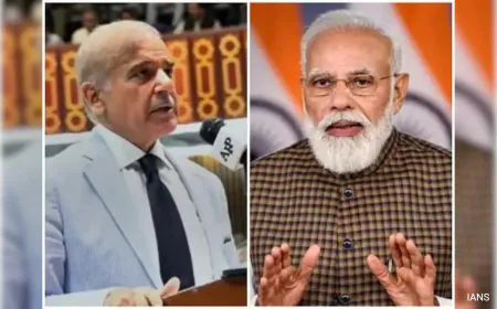 "Relevant T-Word Is Terrorism, Not Tango": India On Pak Deputy PM's Remark