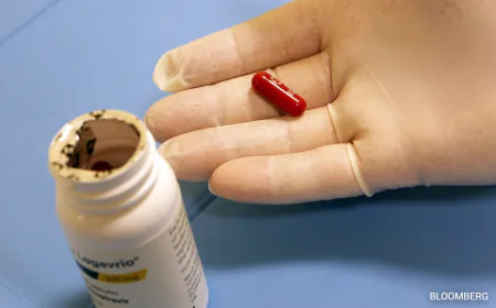 Chinese Cat Owners Are Feeding Covid-19 Pills To Their Pets. Here's Why