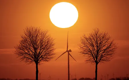 2024 Was Japan's Hottest Year Ever, Official Says Climate Change A "Factor"