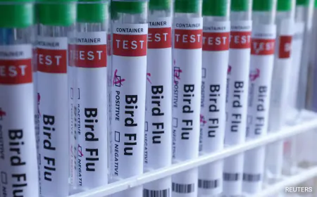 US Records 1st Human Bird Flu Death, Expert Says "Virus Can Be Lethal"