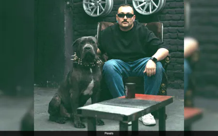 XL Bully Ban Sparks Rise Of A 'Killing Machine' 50 Kg Dog Breed In Britain