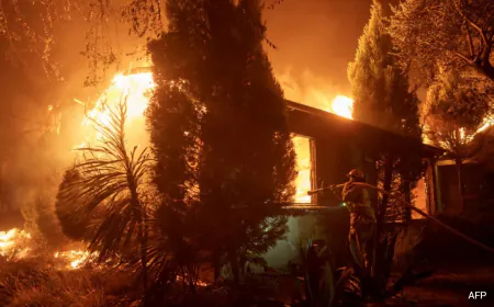 California Wildfire Sparks Panicked Evacuations