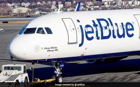 2 Decomposed Bodies Found In Plane's Wheel Well In Florida, Probe Launched