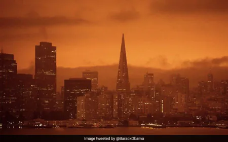 US President-Elect Trump Blames California Governor For Wildfires