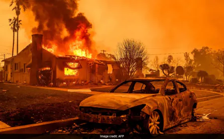LA Palisades Fire Ravages 15,800 Acres; Musk Shares Devastation Footage