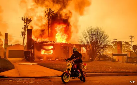 Pics: Losses From Deadly Wildfires Across Los Angeles Likely To Hit $60 Billion