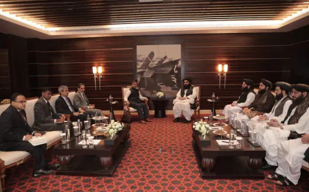 Grant Visa To Afghan Businessmen, Students: Taliban Urges India