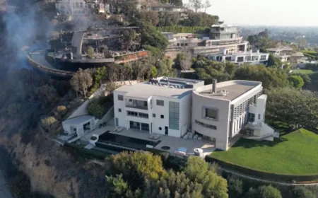 Los Angeles Wildfires: Tom Hanks' Home Survives As Celebrity Homes Burn