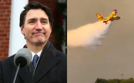 "Neighbour Helping Neighbor": Trudeau Sends Aid To Fight Los Angeles Fire