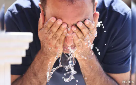 2024 Hottest Year On Record: World Meteorological Organisation