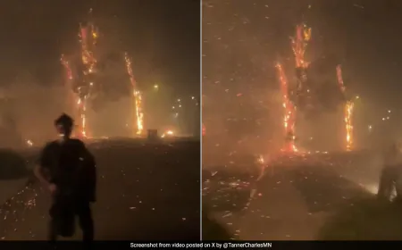 Video: Two Friends Abandon House In Los Angeles As Wildfire Rage