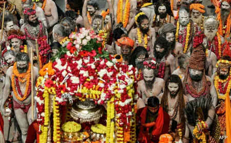 India Ready For Maha Kumbh Mela, World's Largest Religious Gathering