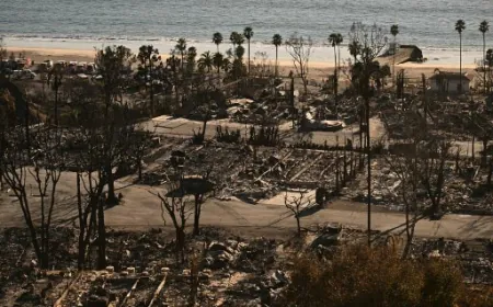 "Mommy, What's Happening?": Families Left Traumatised By LA Fires