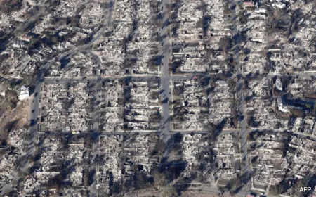 9 Charged Over Looting In Los Angeles Fires