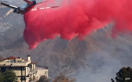 What Is Pink Powder Dropped By Planes That's Helping Fight LA Wildfires