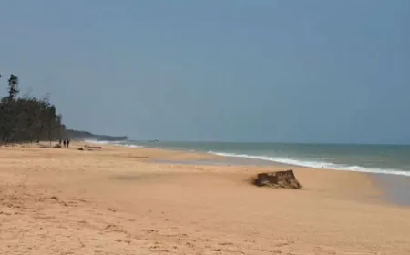 Sydney Closes 9 Beaches Due To Mysterious Ball-Shaped Debris